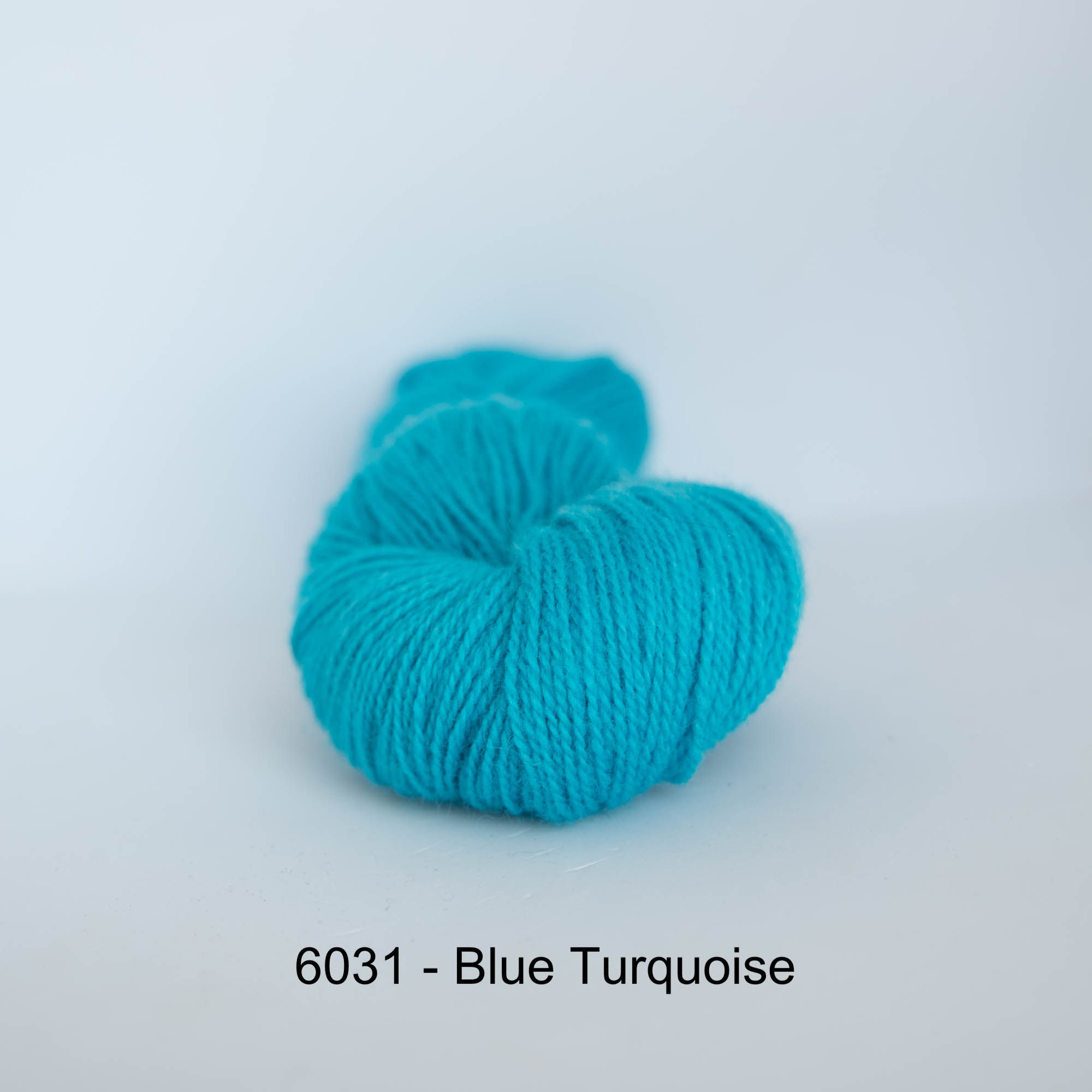 Hillesvåg Ask Blues