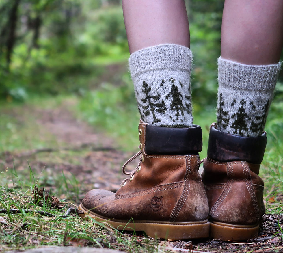 Thumbnail: Forest Path Sock Yarn Kit