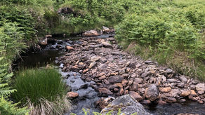 CoDesRes in Caherdaniel