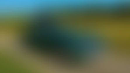 1952 Aston Martin DB2 Vantage MILLE MIGLIA Entrant