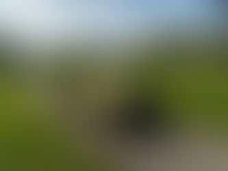 1924 Bentley 3 Litre Le Mans Style Tourer