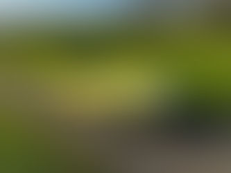 1968 Jaguar E-Type 4.2-Litre Series 1½ Roadster