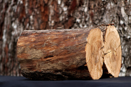 Peach LEÑERO FIREWOOD