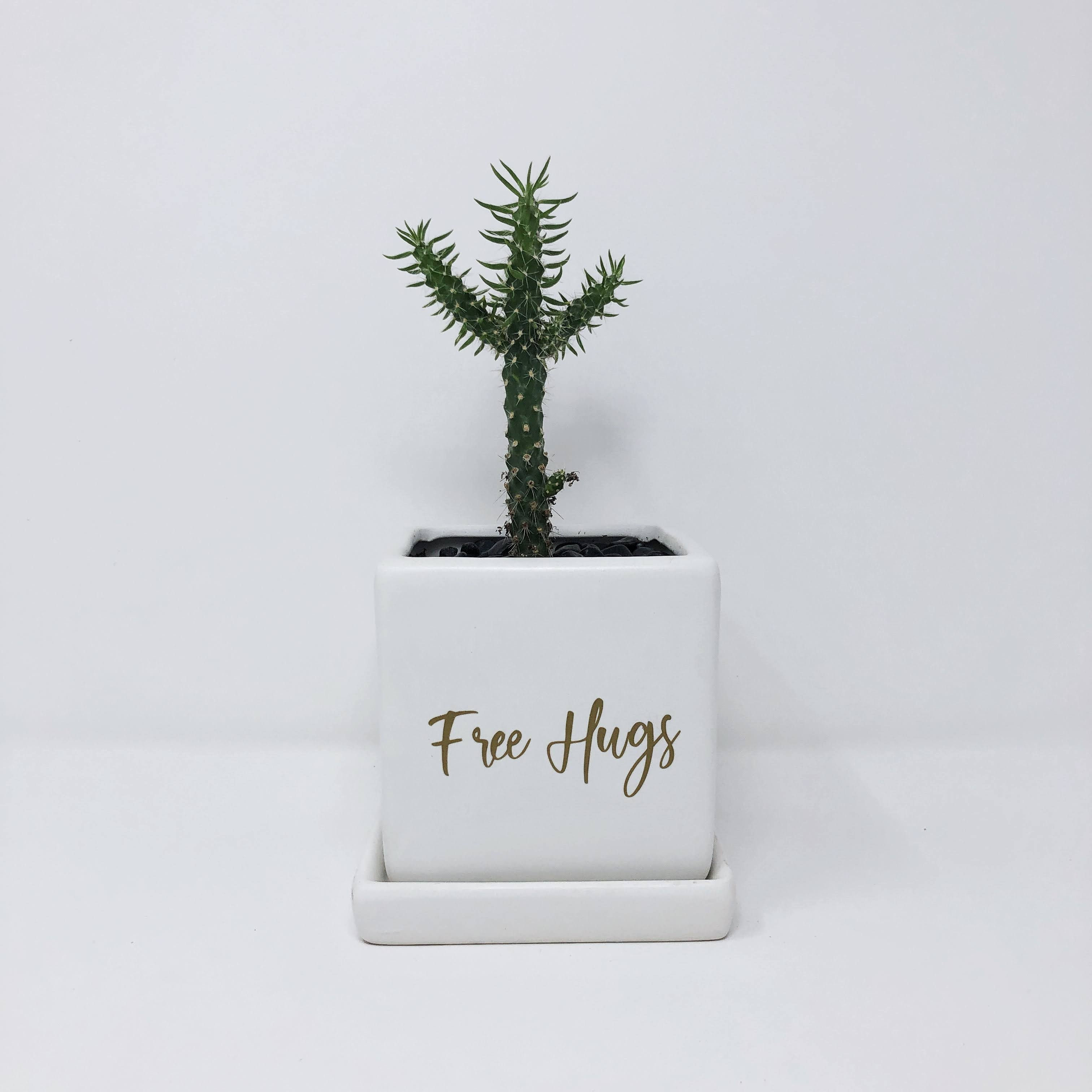 Free Hugs