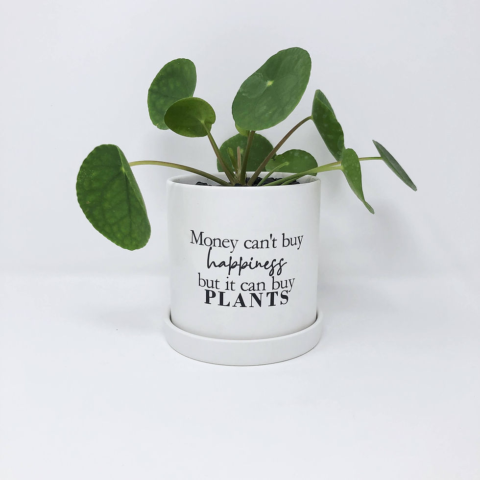 Thumbnail: Money can't buy happiness...