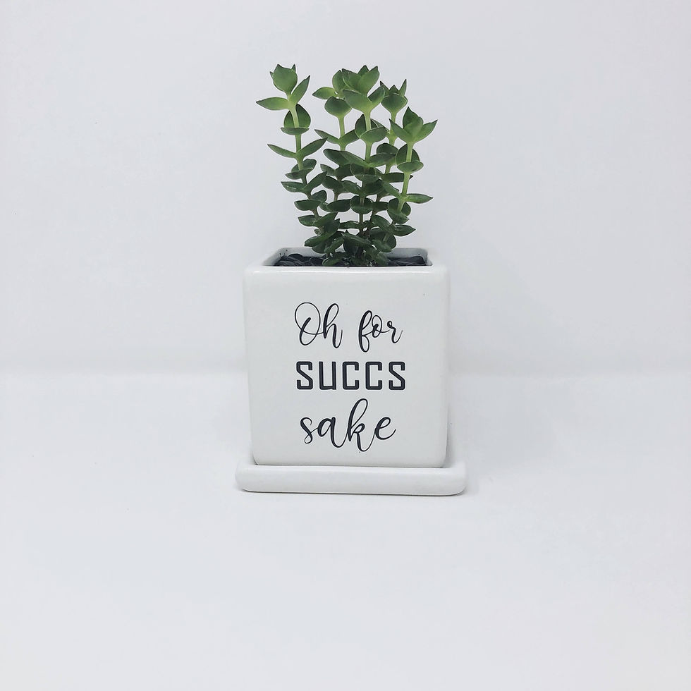 Thumbnail: Oh for succs sake