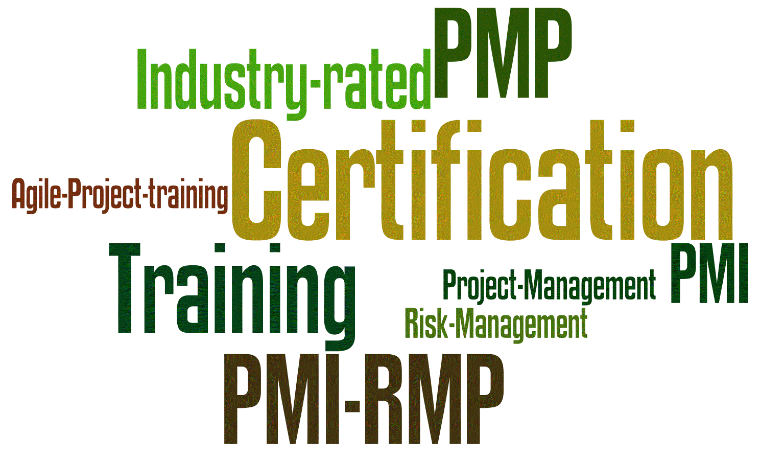 PMP and PMI-RMP certification training
