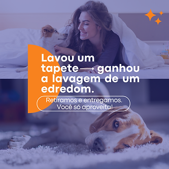 Promoções WashLav tapete site.png