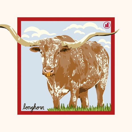 Ariana Lee Creative Illustration of a longhorn for the Parallel Advisors office