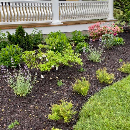 Lowell_Front Garden