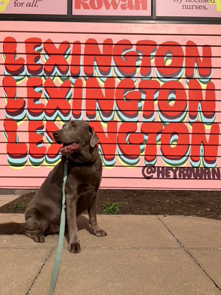 Closeup of red and pink Lexington mural with cute silver lab at Hey Rowan