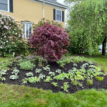 Lowell_Side_Garden