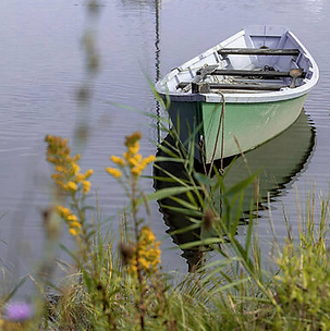 green boat floating in the water near some yellow flowers