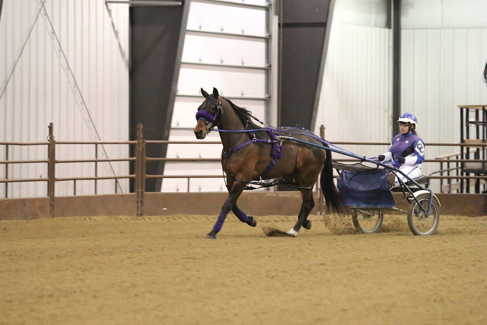 Chelsea & Cracker- Mane Event