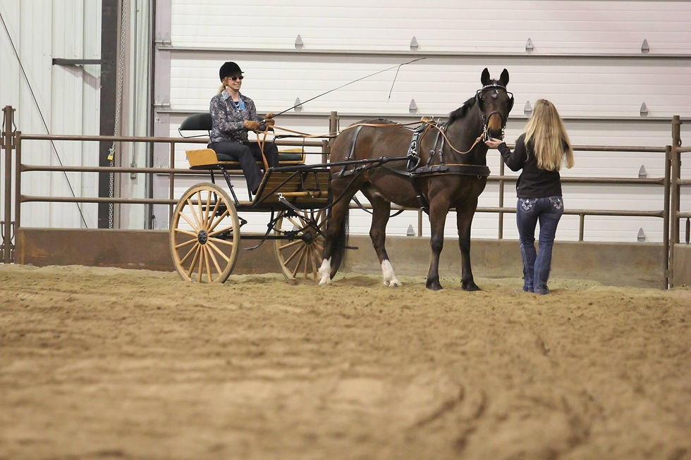 Carolyn, Holly, & Billy- Mane Event