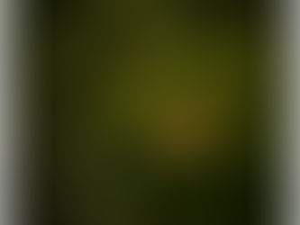 WEEK FOUR: LEAF IN LIMBO