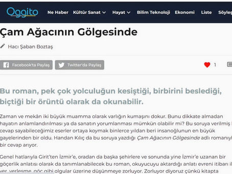Çam Ağacının Gölgesinde oggito.com 'da