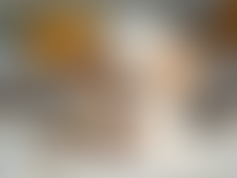 Your Guide to Finding Pomapoo Puppies