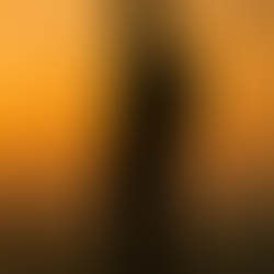 The III Archetypes of the Actor: Part IV - The Diplomat