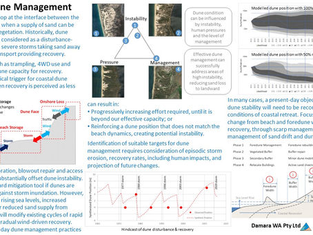 Coastal Dune Management