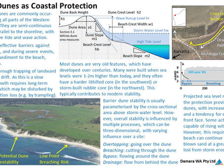 Natural Dunes as Coastal Protection