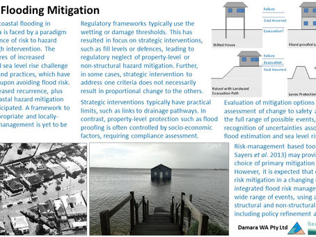 Coastal Flooding Mitigation