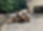 image1 (5).jpeg