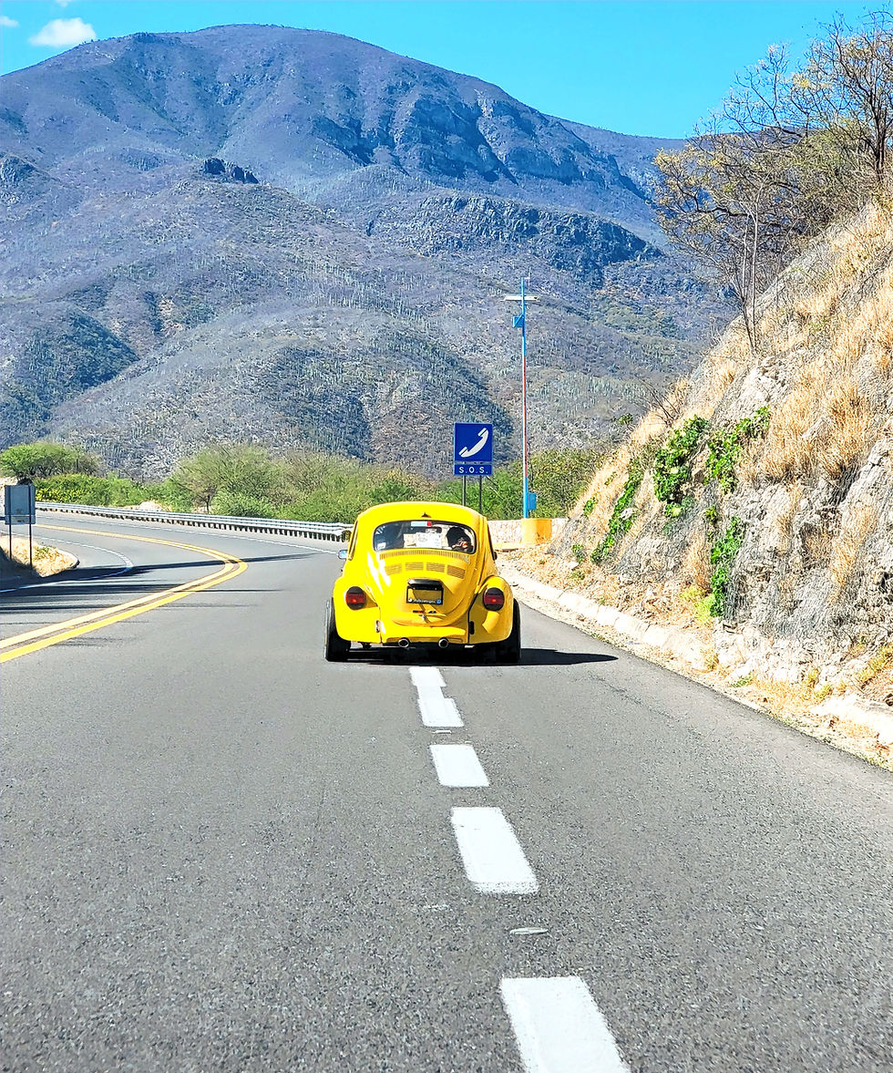 8 Mexico Road Rules That Will Shock First-Time Riders