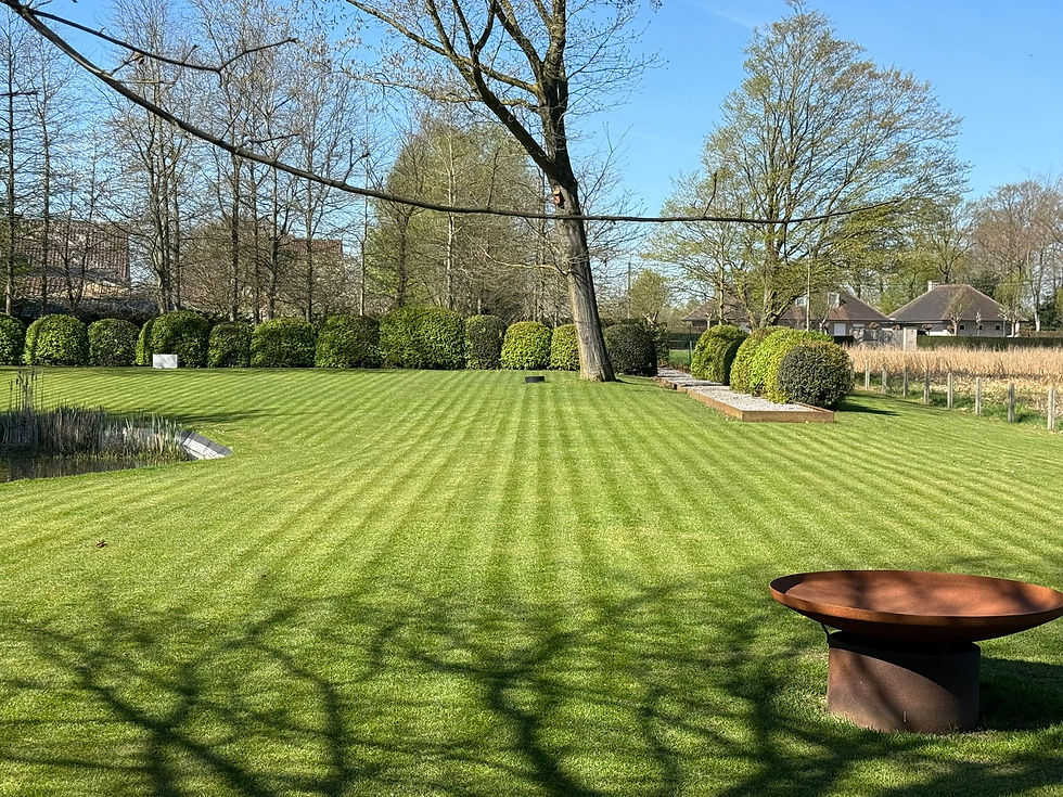 WhatsApp Image 2026-04-08 at 11.46.05