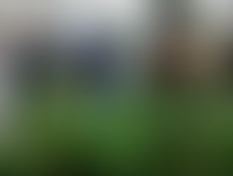 Entrega de plantas, ferias y desfile de modas por el DÃa del Ambiente