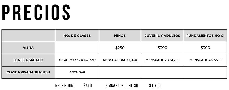 PRECIOS HUNOS.jpg