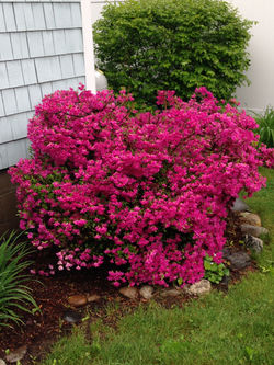 Enjoy our gardens.
