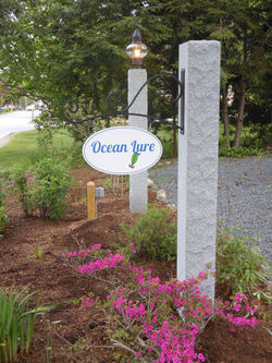 Welcome to Ocean Lure!