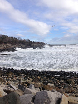 Perkin's Cove and the Marginal Way.