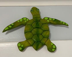 Turtle room.