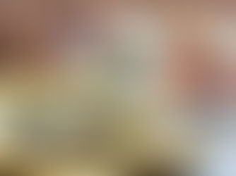 משמשים אורגניים ממולאים אגוזים, עשבי תיבול ושום