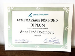 Diplomerad Lymfmassör på Hund!