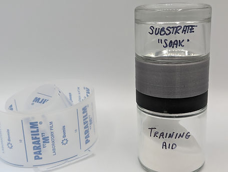 Parafilm and TADD Odor Chamber.jpg