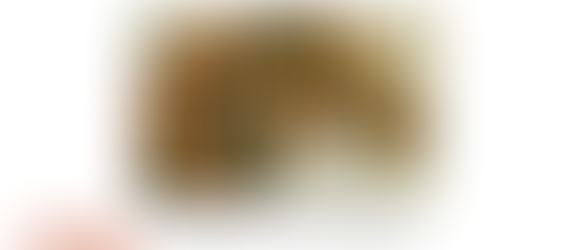 🎨✨ Our First Online Art Show of 2026 is OPEN for Entries! ✨🐎