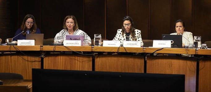 Onu mujeres 10 02 23.jpeg