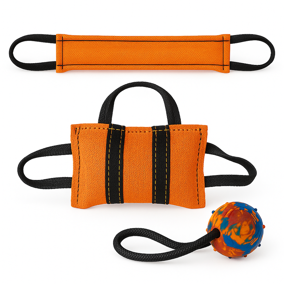 ChatGPT Image 31 Eki 2025 13_08_30.png