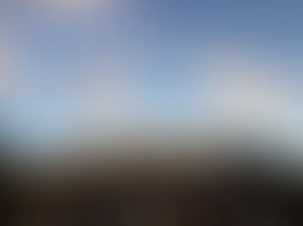 Welcome to my back garden! ❄