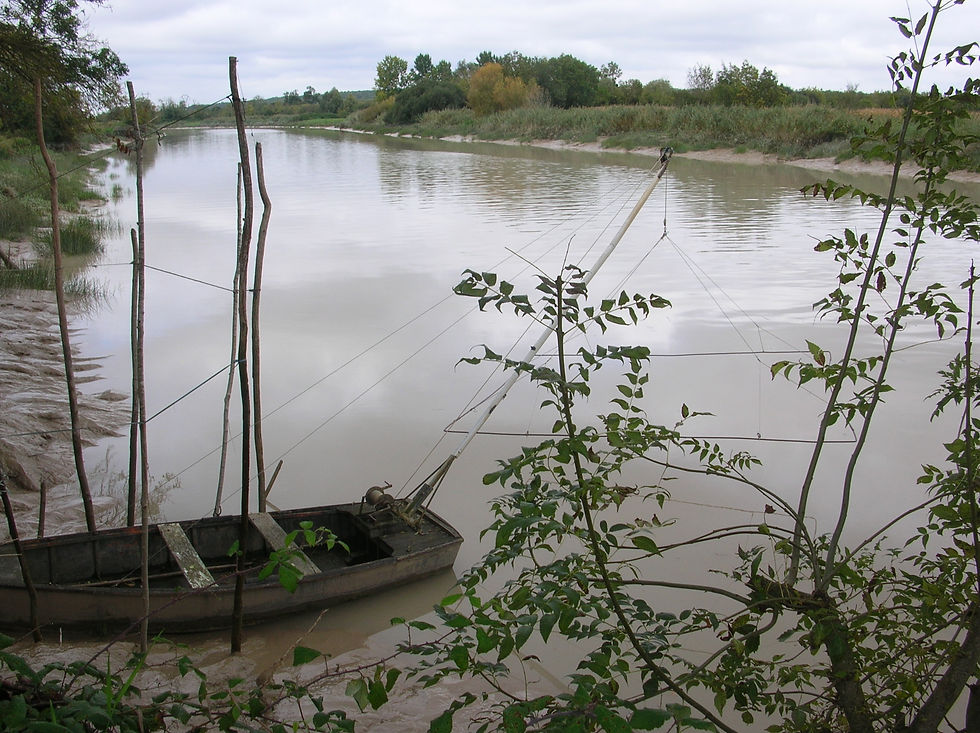 Bord de Charente