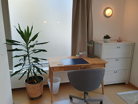 Praxisraum 1080 Wien: Arbeitsplatz Schreibtisch, Stuhl, Pflanze, Schrank