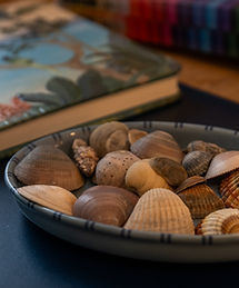 Arbeitmaterial: blaue Schale mit Muscheln, Notizbuch mit Naturmotiven