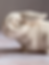 Biophilic Jesmonite Gypsum Acrylic Resin Home Decor Rabbit Bunny Figurine with Beach Sand