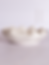 Biophilic Jesmonite Gypsum Acrylic Resin Home Decor Decorative Clam Shell Bowl Trinket Dish Holder Beach Sand Tray Holder