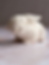 Biophilic Jesmonite Gypsum Acrylic Resin Home Decor Rabbit Bunny Figurine with Beach Sand