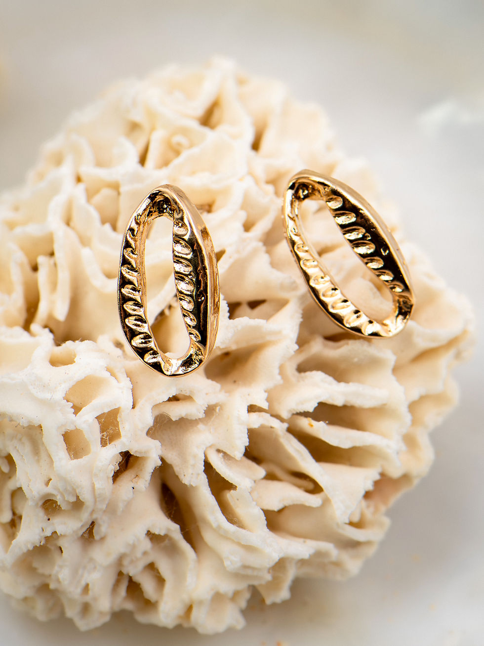 Curated Decorative Cowrie Shell Stud Earrings