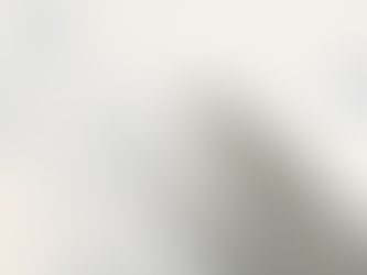 Aprenda a Gerenciar Riscos